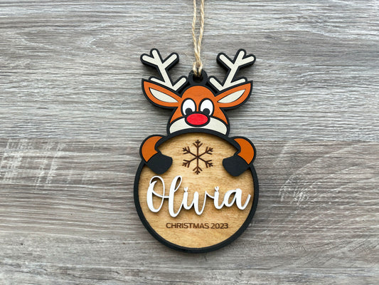Personalized Animal Ornament Kits